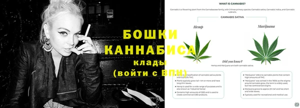 гидра Бугульма
