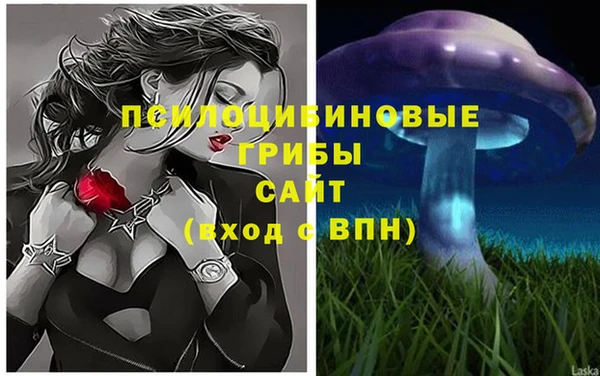 соль курить ск Богородск