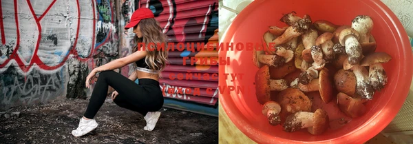 PSILOCYBIN Беломорск