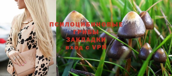 ALPHA-PVP Богородицк