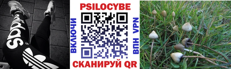 где купить   Бахчисарай  Галлюциногенные грибы мухоморы 